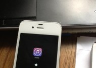 如何辨别iPhone手机的真伪（掌握iPhone手机真伪识别技巧）