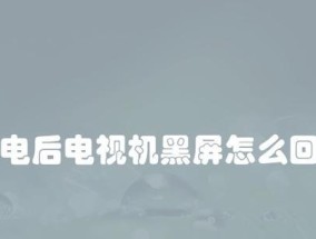 电视机黑屏问题解决指南（修复电视机启动黑屏的有效方法及技巧）