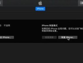 探秘苹果X刷机模式的使用方法（解锁更多功能）