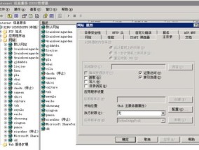 探索web网页制作的代码世界（解读前端开发的关键技术与工具）