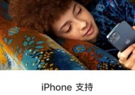 iPhone忘记锁屏密码破解方法（解决iPhone忘记锁屏密码的有效教程）