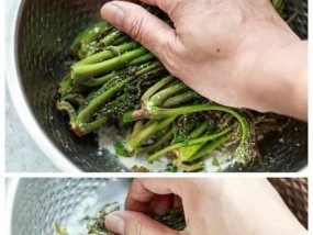 冰箱中的野菜宝库（发掘冰箱中的健康惊喜）