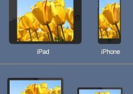 如何设置苹果平板的屏幕旋转（简单操作）