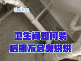 马桶反水处理方法及预防措施（解决马桶反水问题的实用技巧与指南）